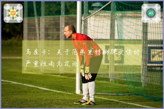 乌度卡：关于范弗里特脚踝受伤的严重性尚无定论