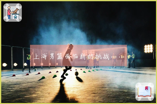 上海男篮面临新的挑战……