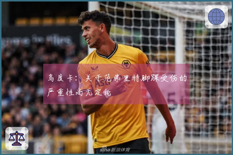乌度卡：关于范弗里特脚踝受伤的严重性尚无定论