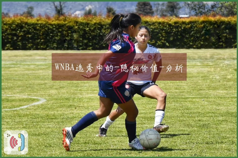 WNBA选秀中的-隐秘价值-分析
